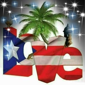 Meet your Posher, Mirta